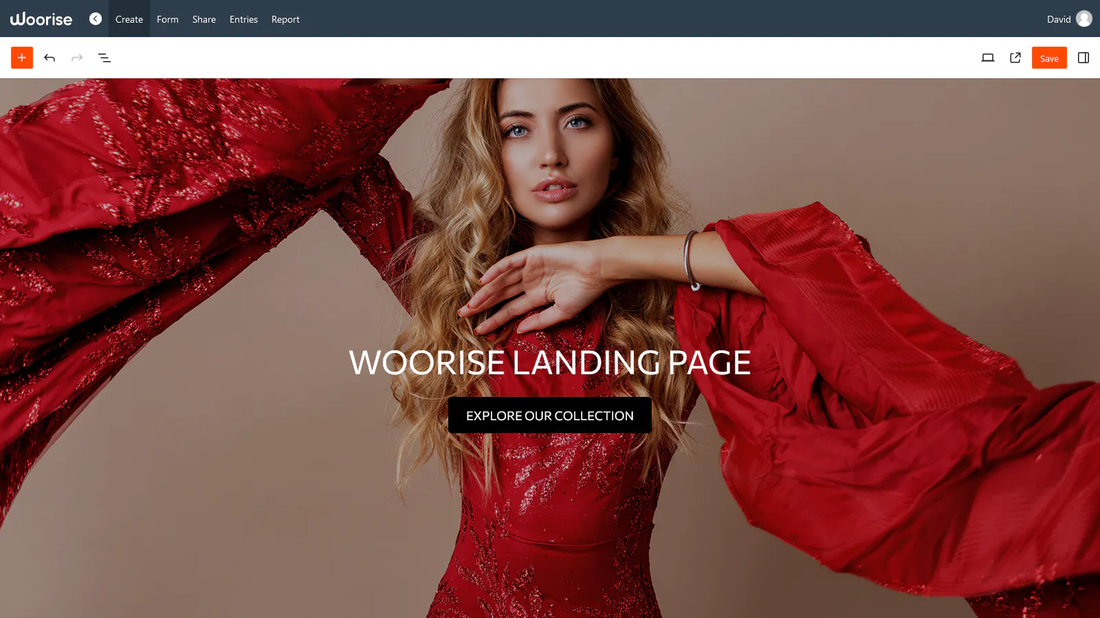 Woorise gallery image
