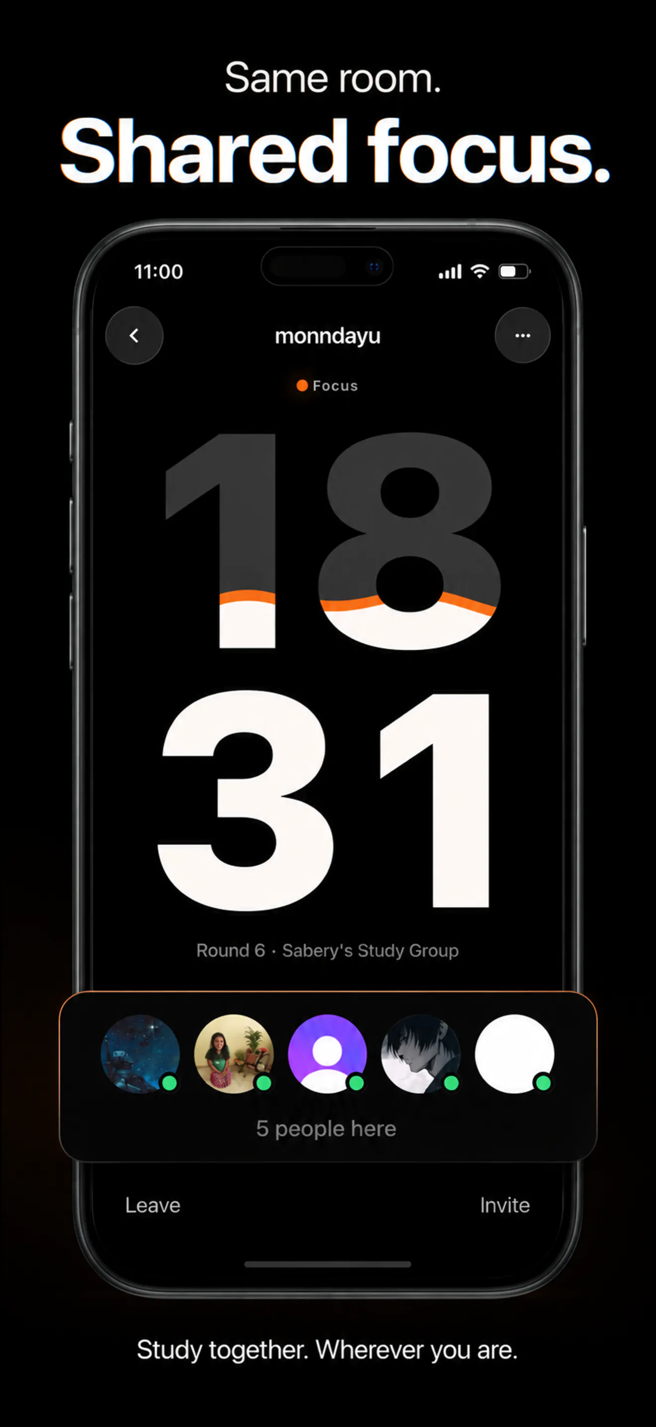 StudiesTimer for iOS gallery image