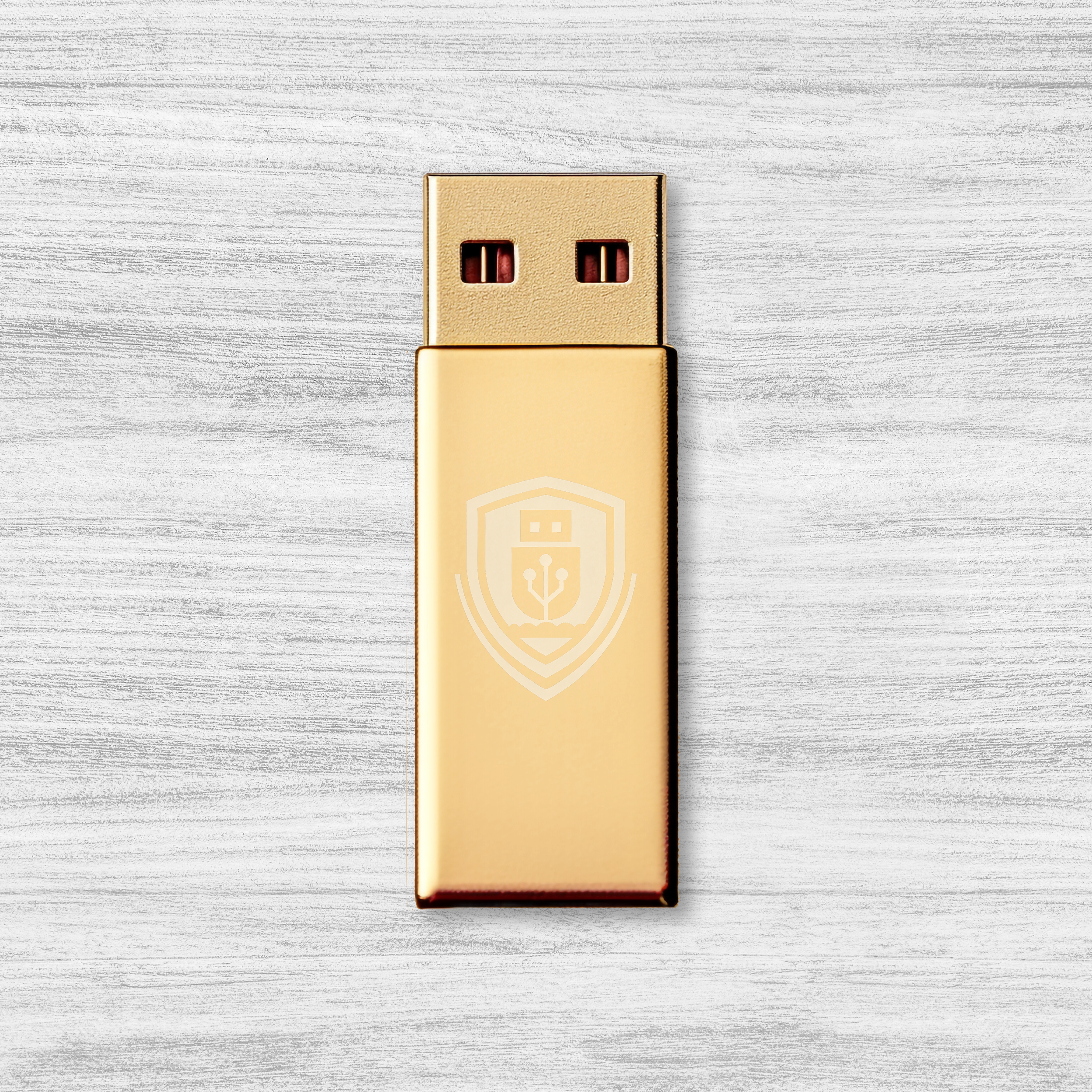 Resilience USB logo