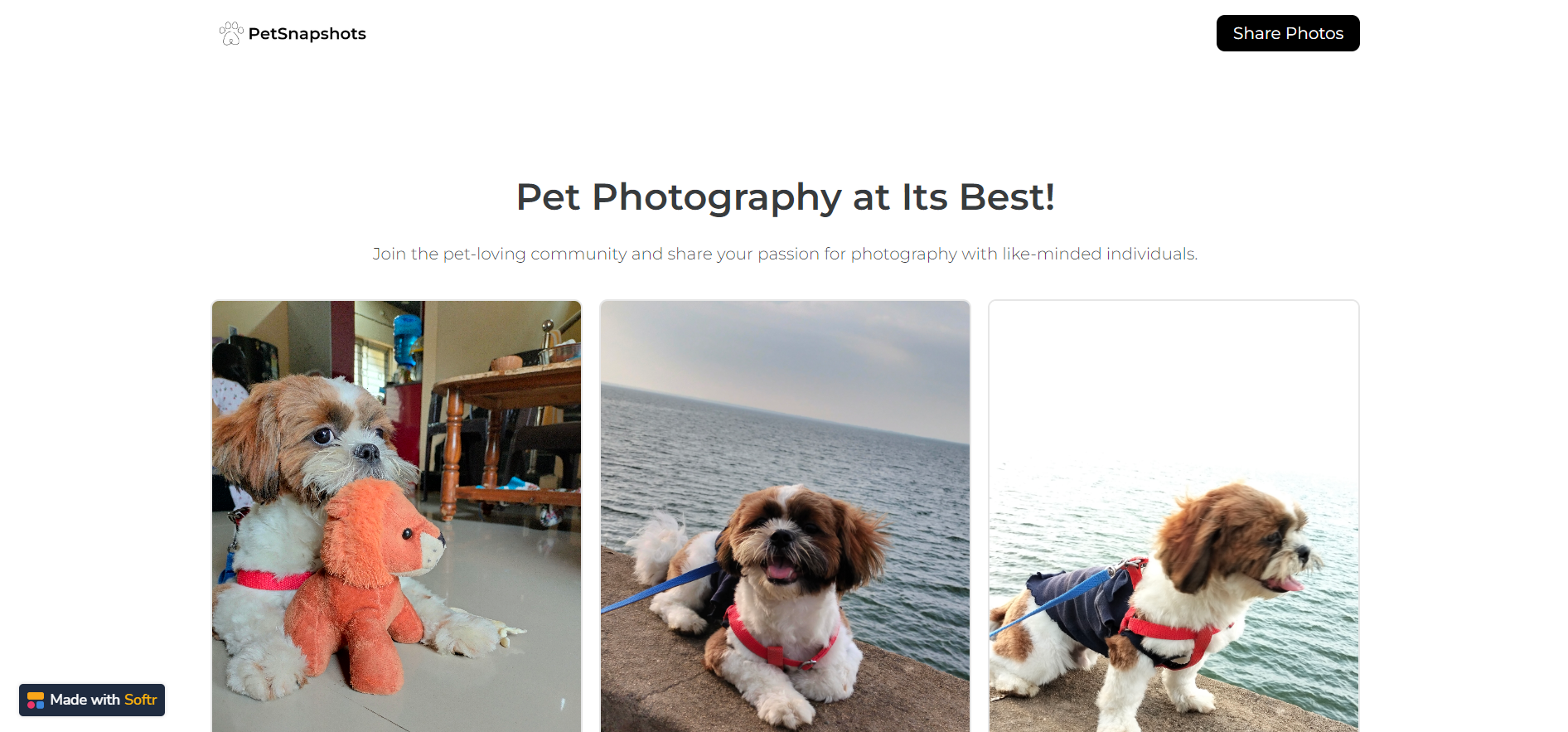 PetSnapshots media 2