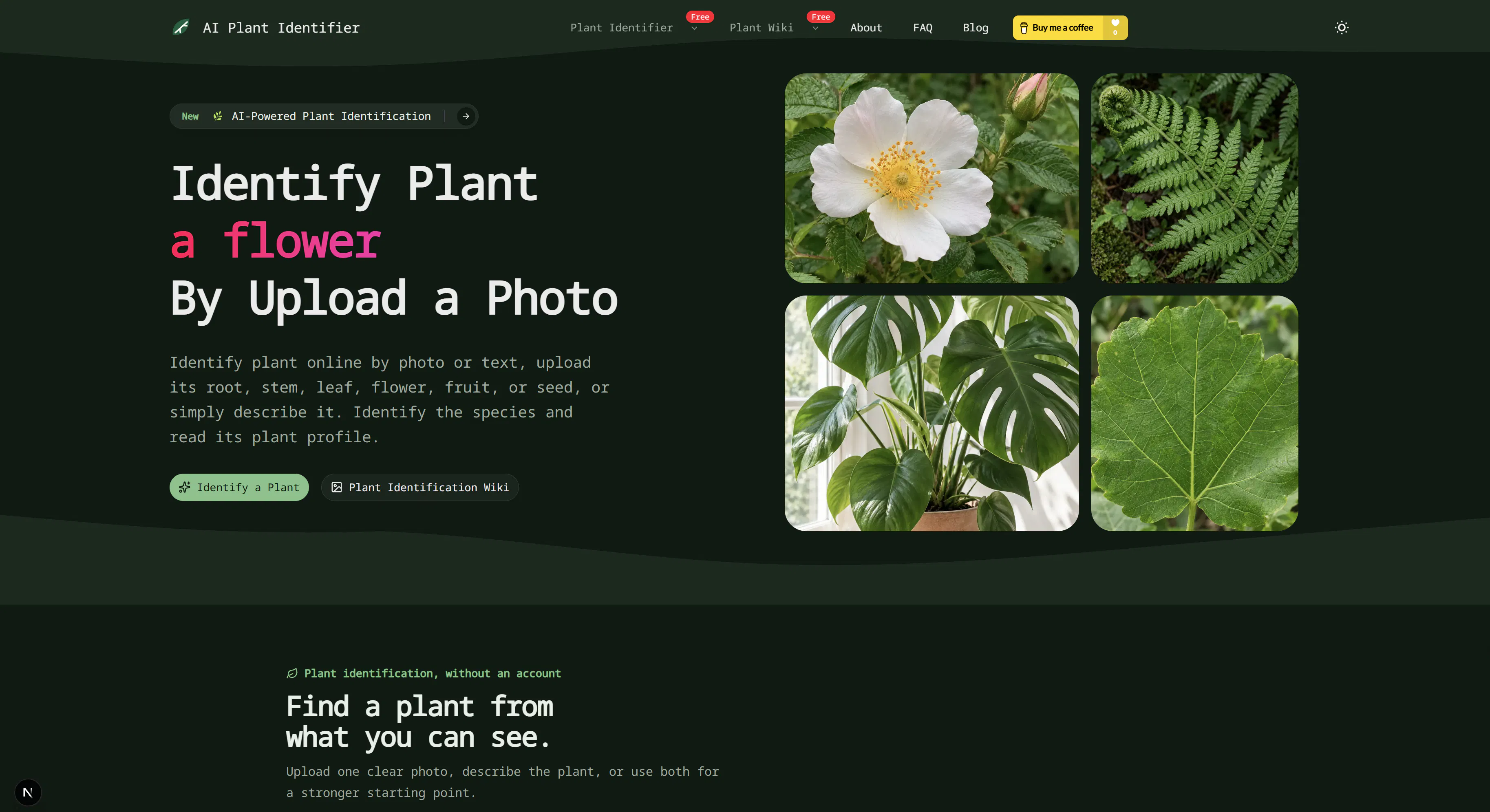 What Plant Is This gallery image