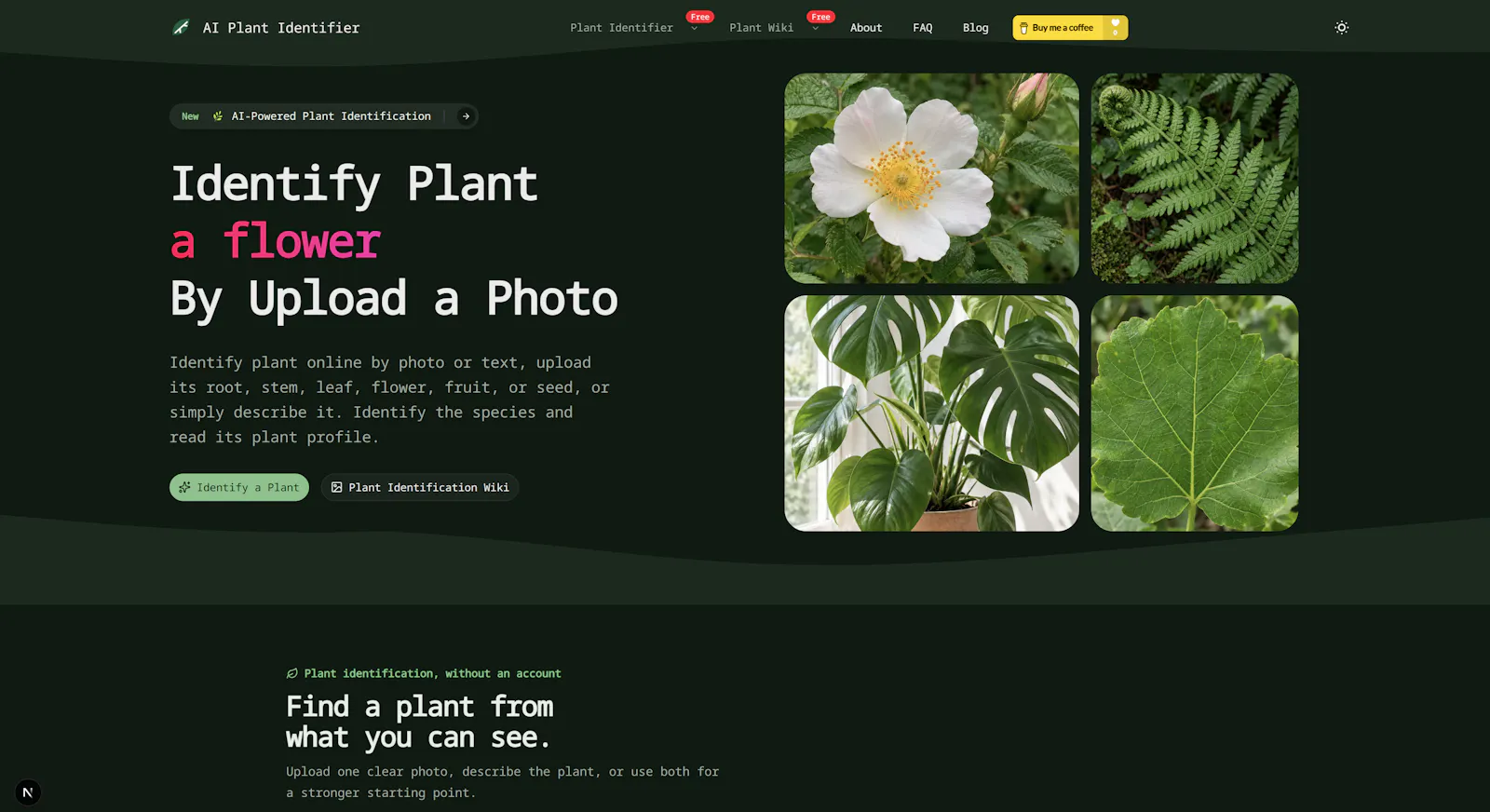 What Plant Is This screenshot 1