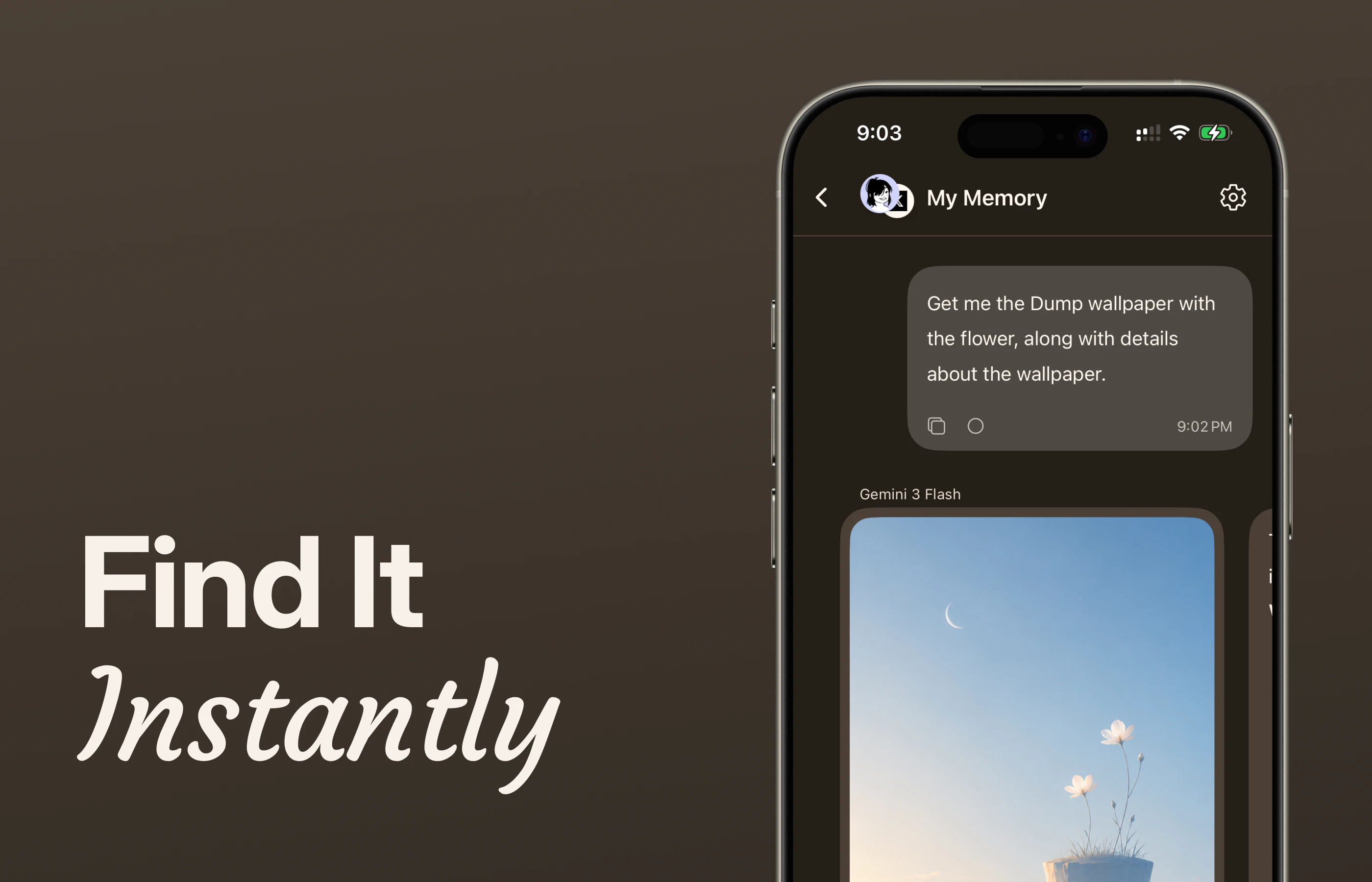 Dump Memory gallery image