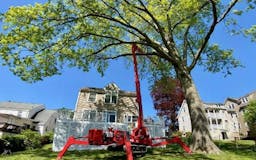 Tree Removal Services In USA  media 1