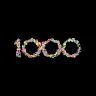 First 1000 Newsletter