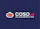 Coso.ai - Your Social Media Co-Pilot