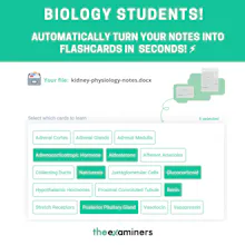 The Examiners: E-Learning Platform gallery image
