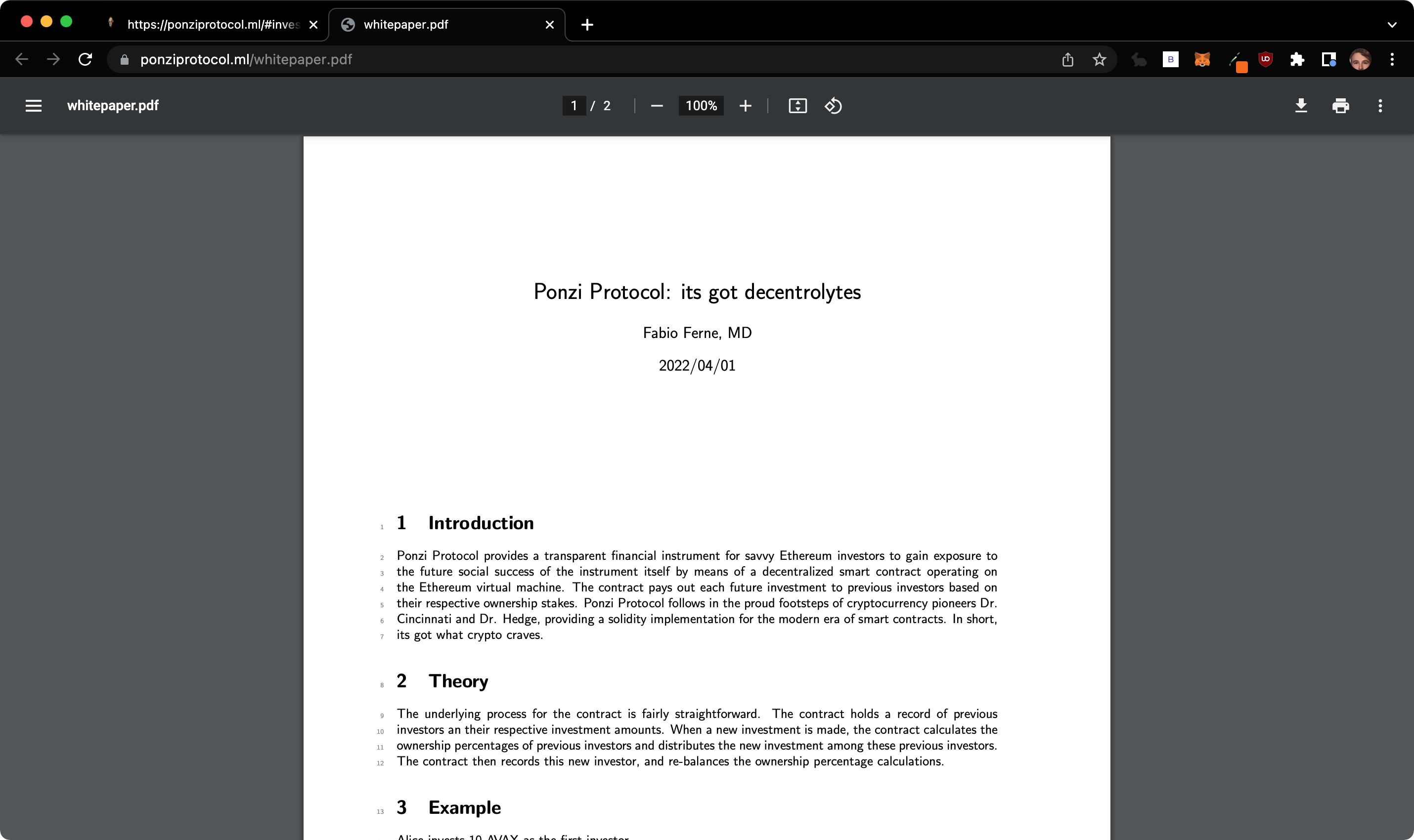 Ponzi Protocol gallery image