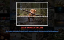 Pikselise - Online Image Cropping Tool media 1