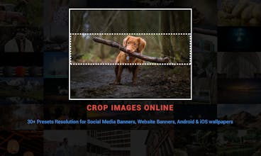 Pikselise - Online Image Cropping Tool gallery image