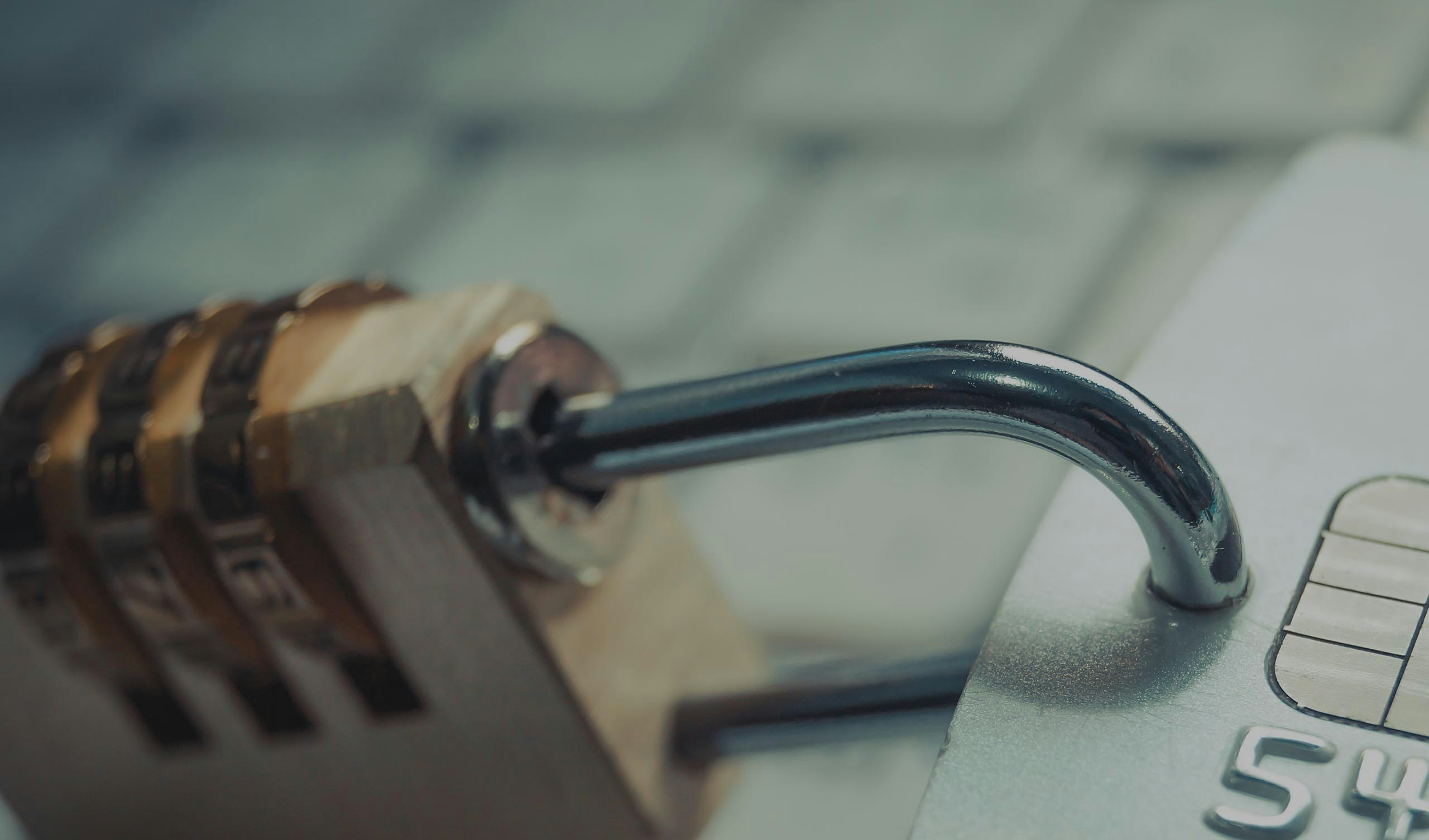 Symphony gallery image