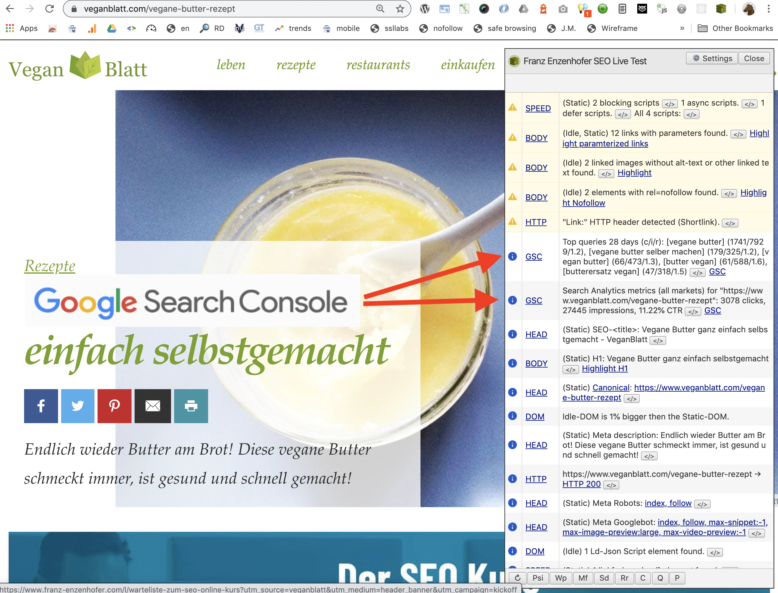 Franz Enzenhofer SEO Live Test V2.0.1