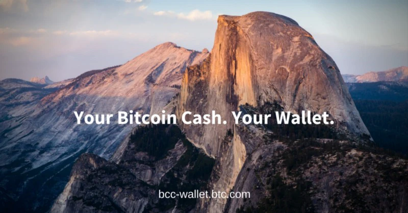 Bitcoin Cash Wallet by BTC.com