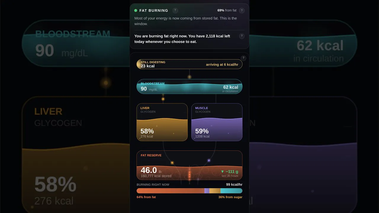 Fuel Shift gallery image