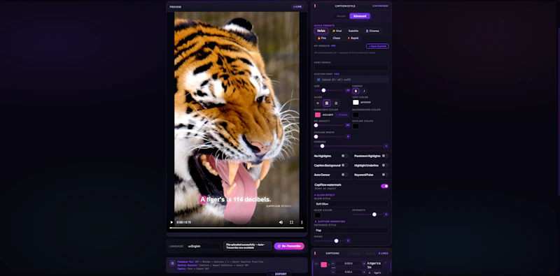 CapFlow Studio screenshot 3