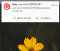 COVID-19 Tracking (with privacy) gallery image