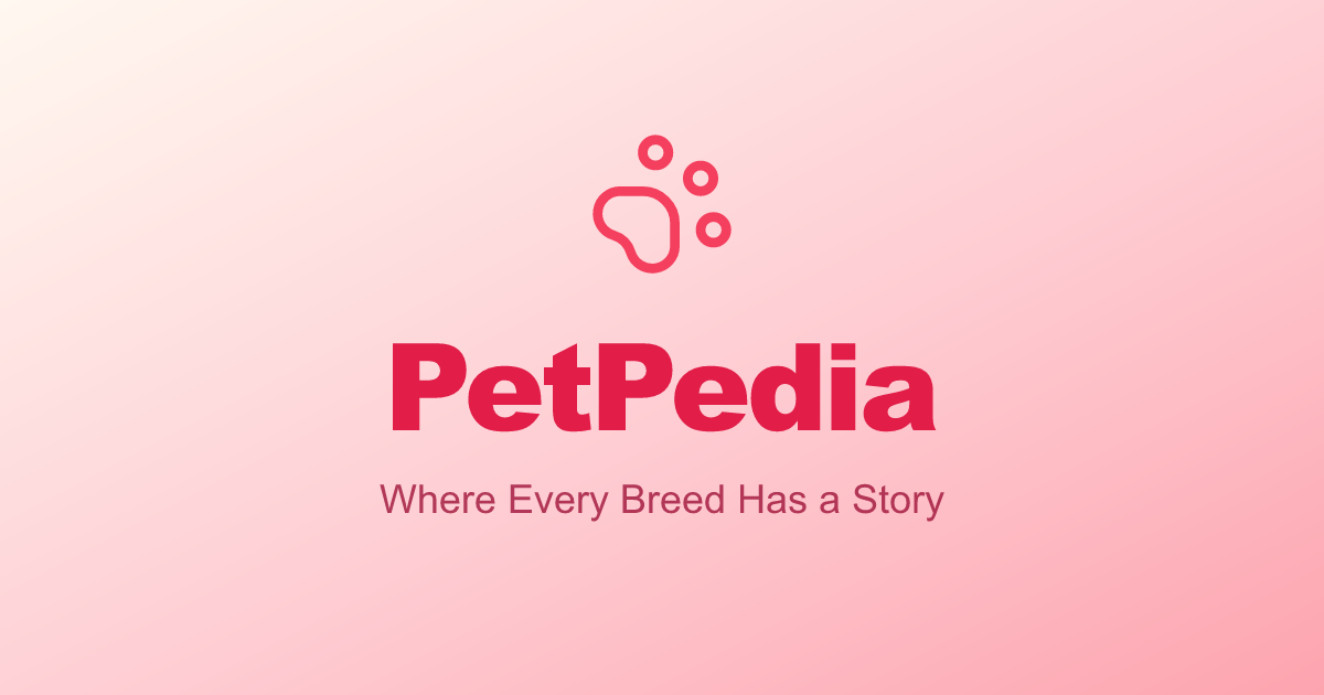 PetPedia gallery image