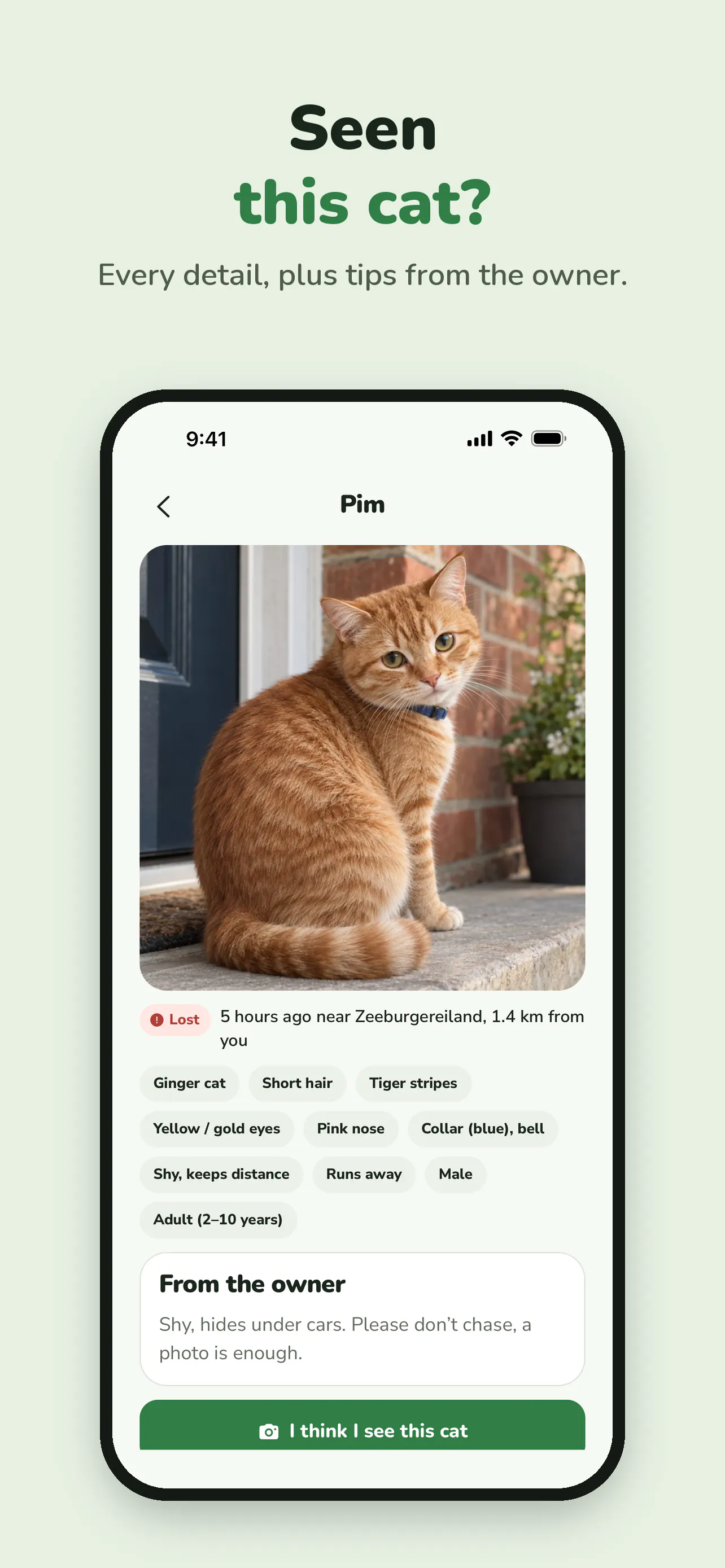 SpotKat gallery image