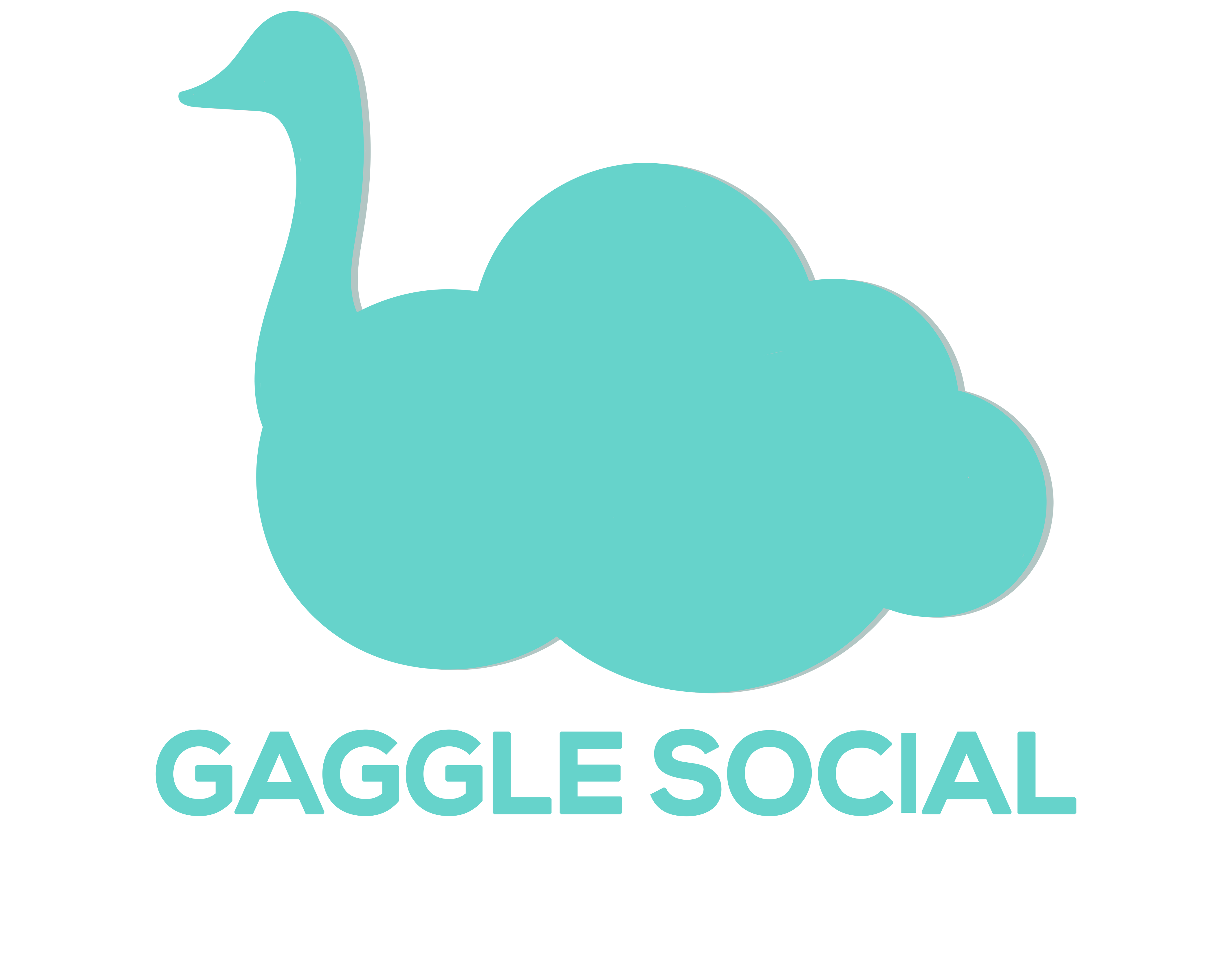 Gaggle Social