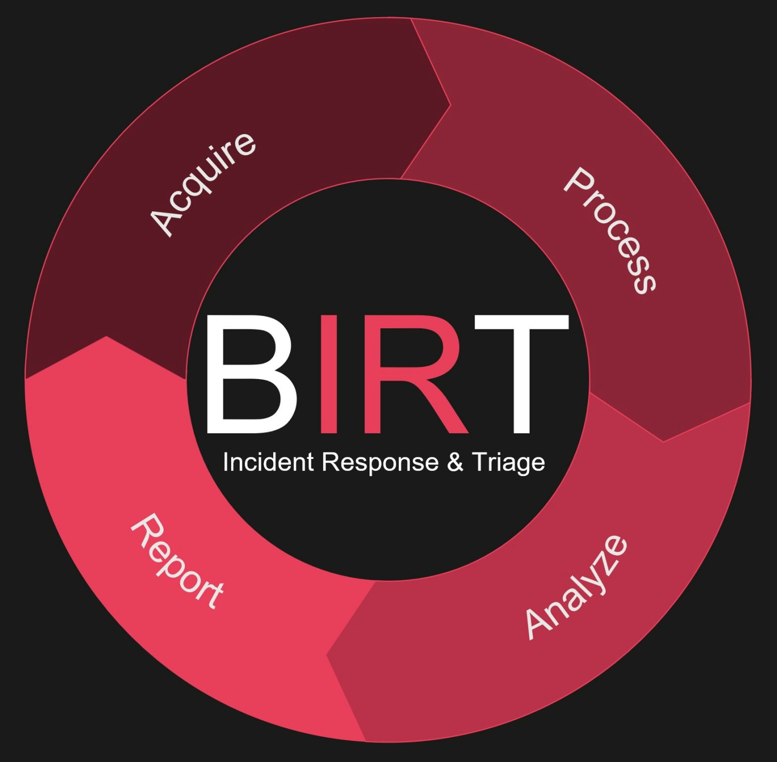 BIRT Incident Response & Triage media 1