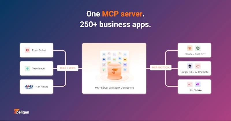 Peliqan MCP Server screenshot 2
