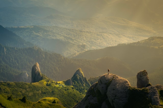 Média Rewilding Retreat - Vous aider à avancer vers la vie une vie plus simple 1