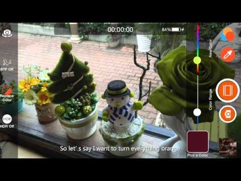 Musemage gallery image