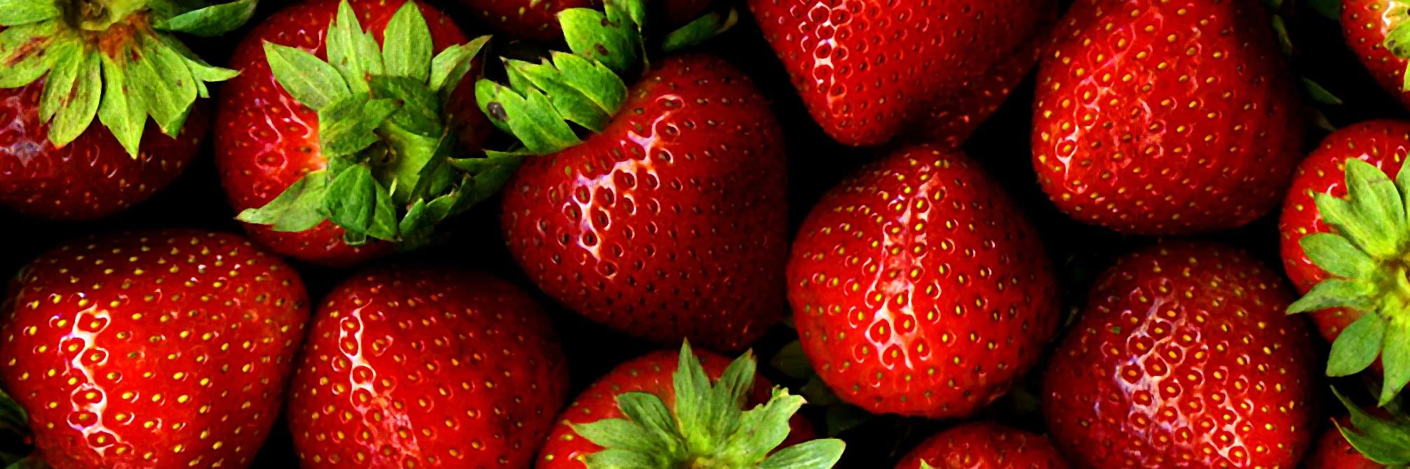 Garrett Flanagan cover