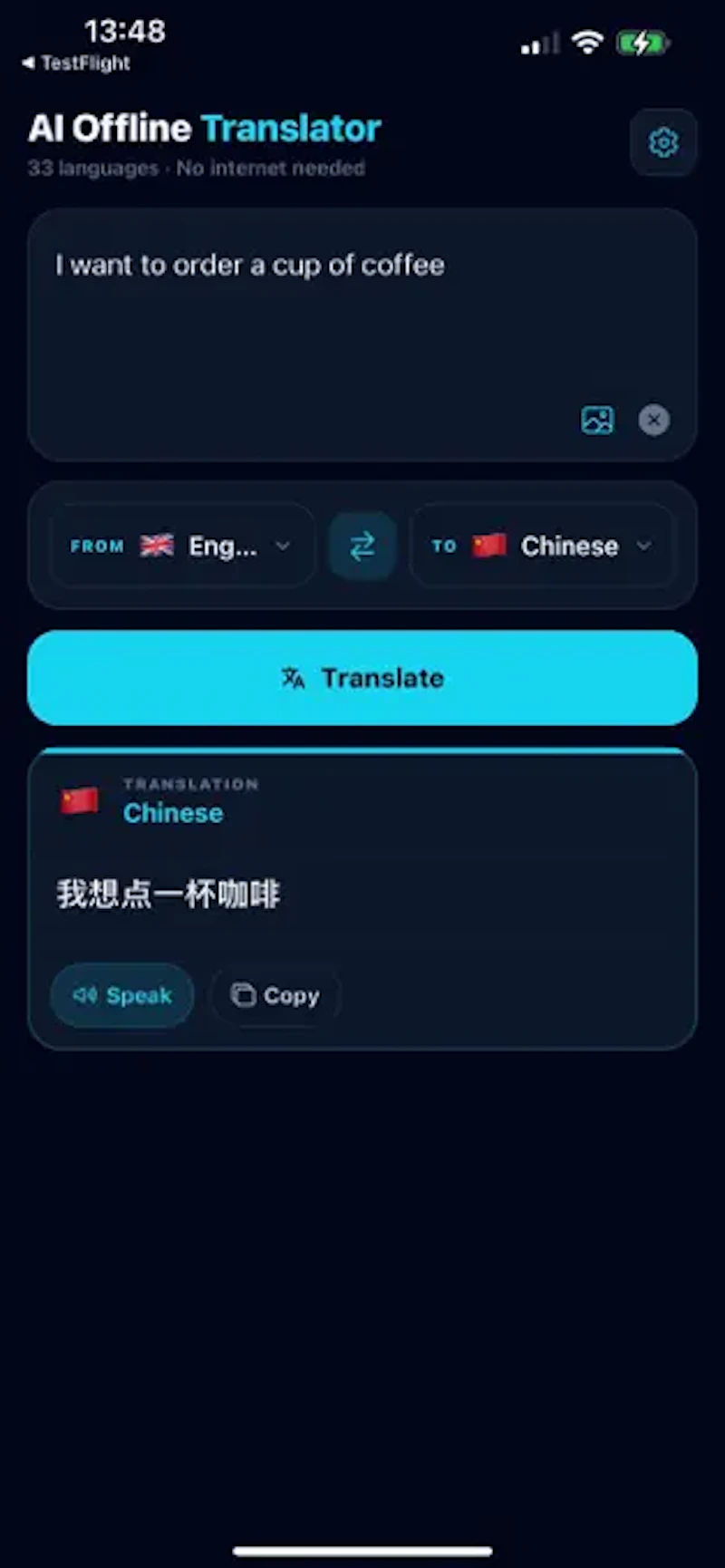 Nomad Translator screenshot 2