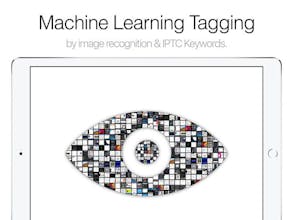 Pixave for iPad gallery image