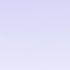 Madgicx for Facebook Ads