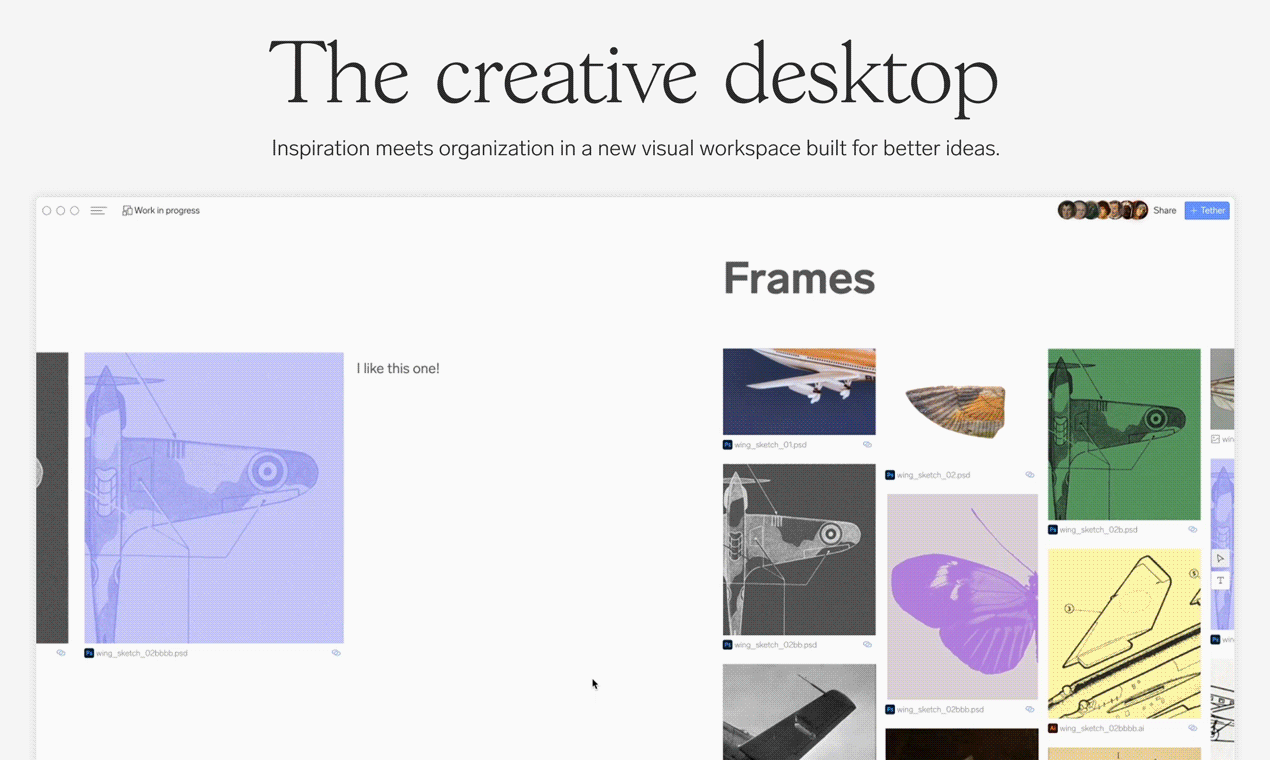 Muschio - Una tela collaborativa costruita per i team creativi media 1