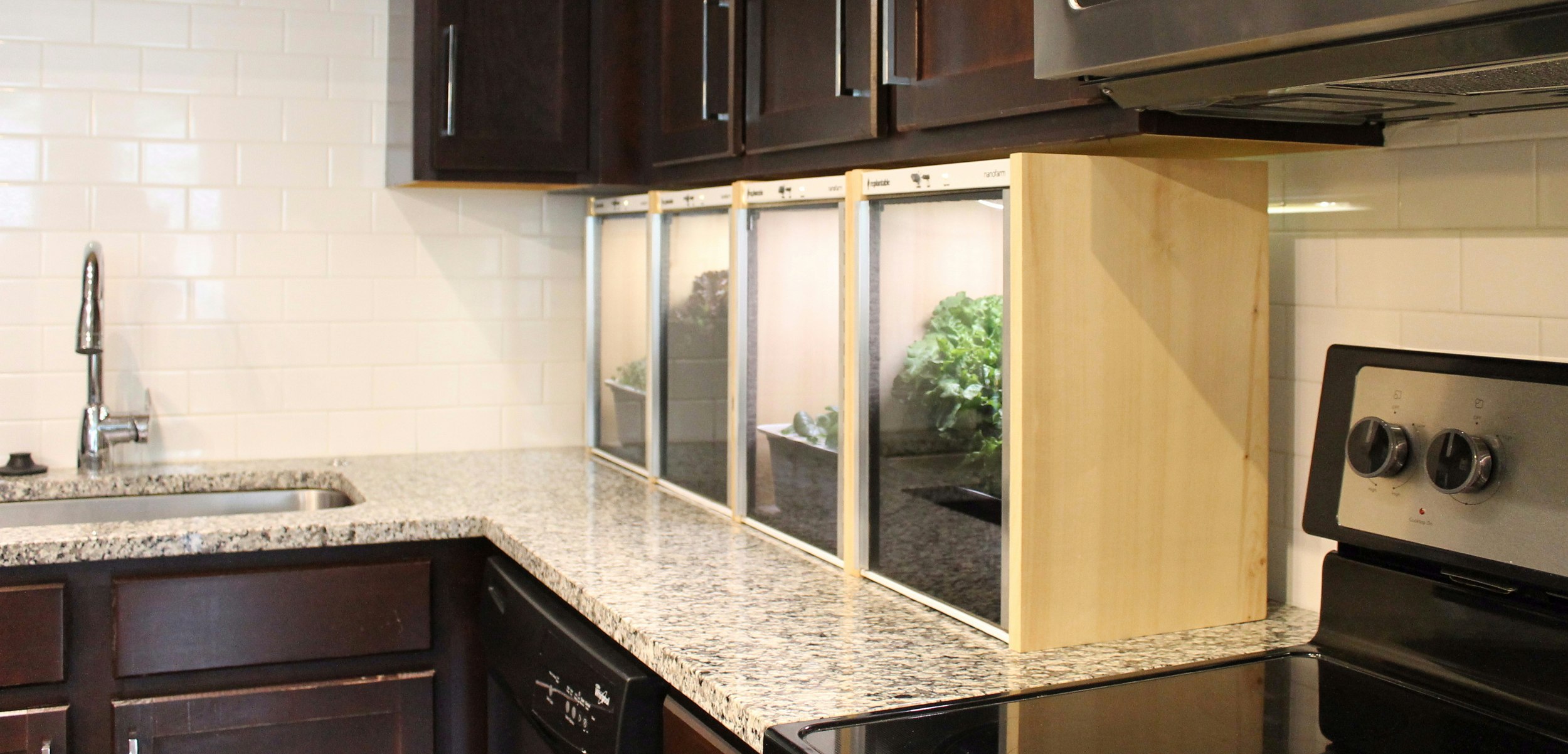 Replantable gallery image