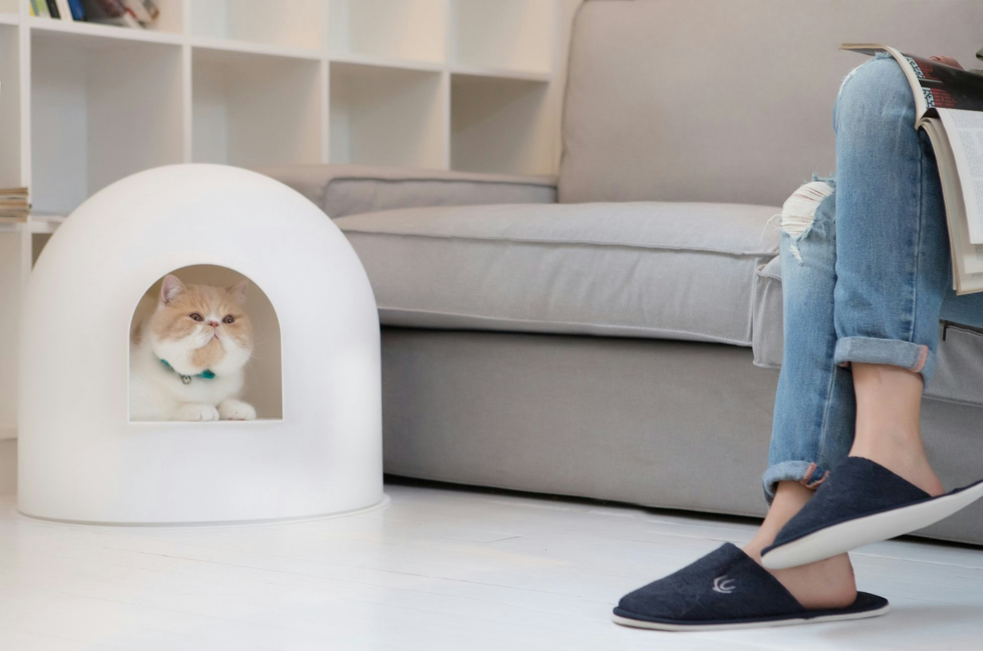Want an invisible litter box? - try this! pidan igloo litter box gallery image