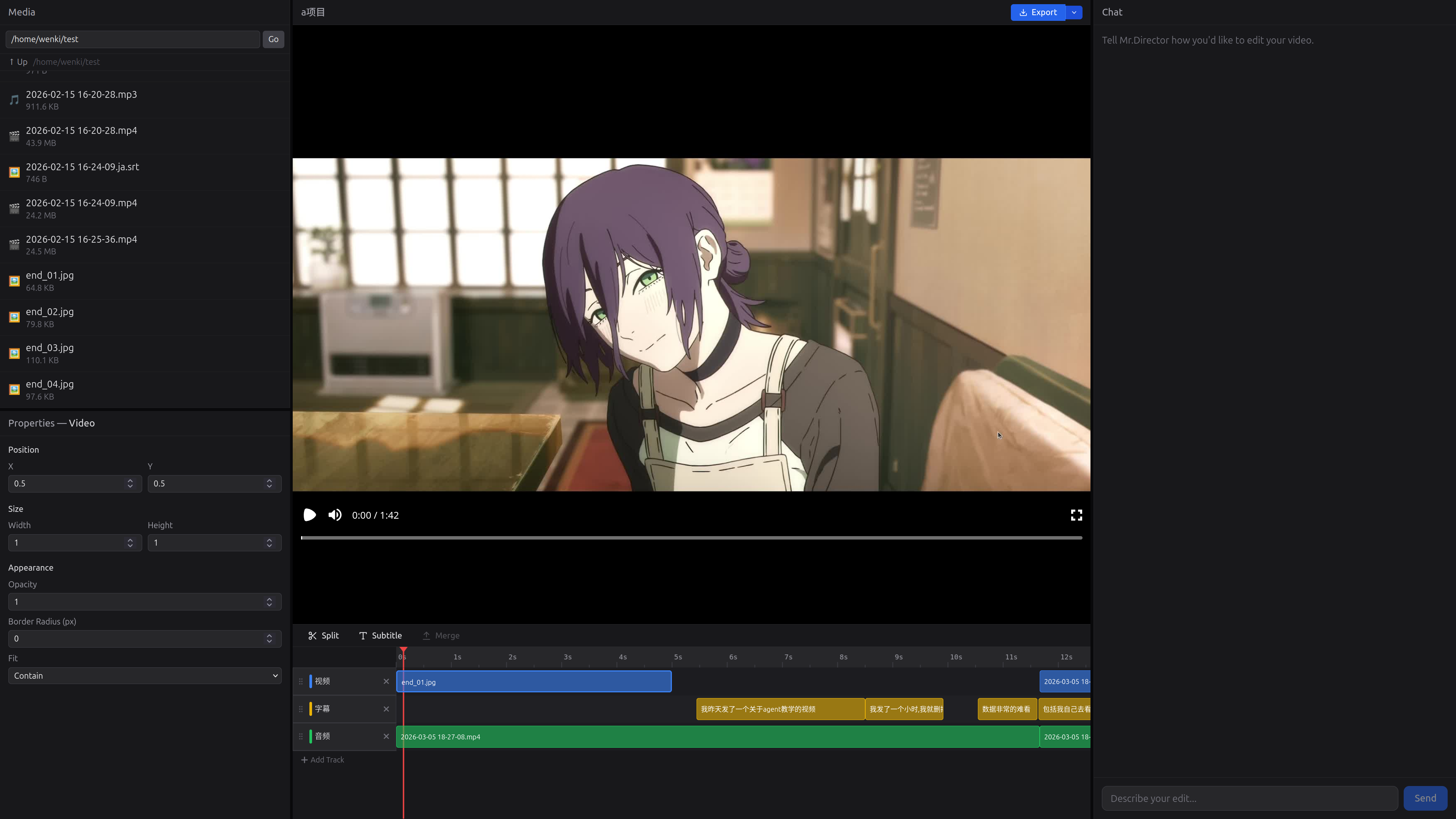 Video Agent gallery image