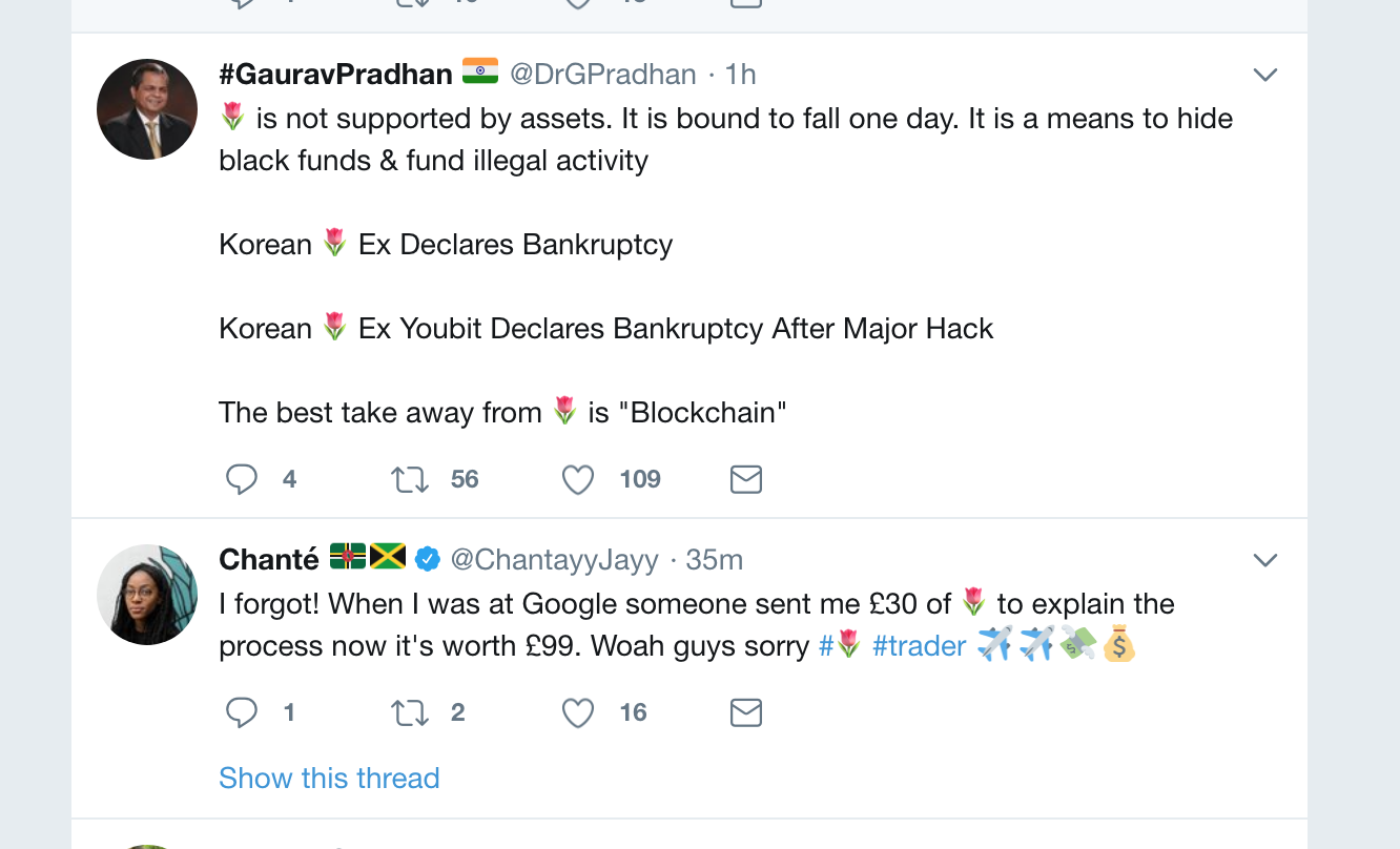 Bitcoin To Tulips gallery image