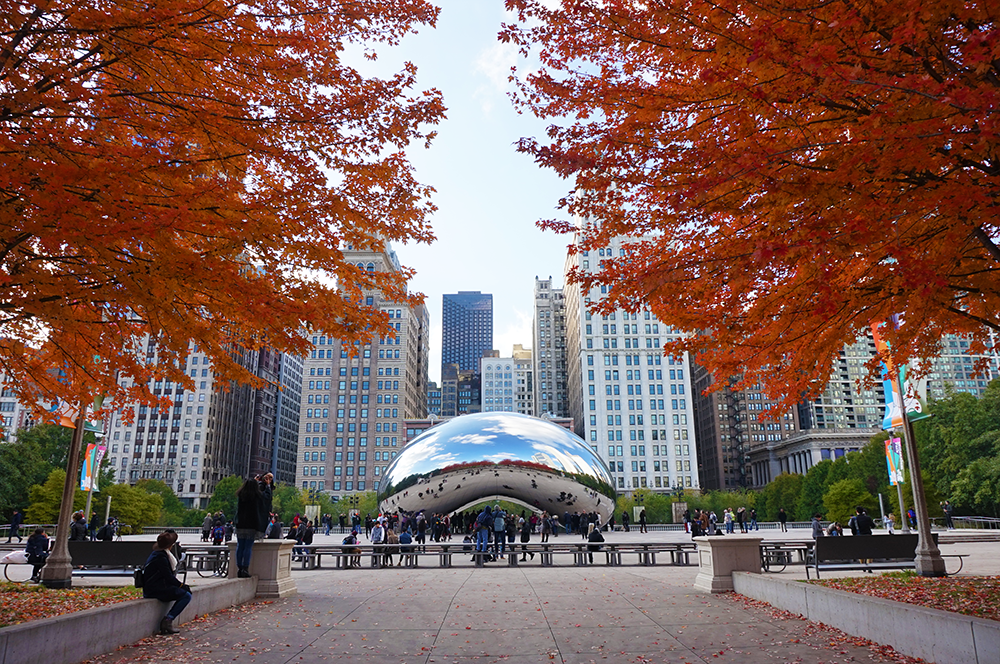 Free Chicago Photos gallery image