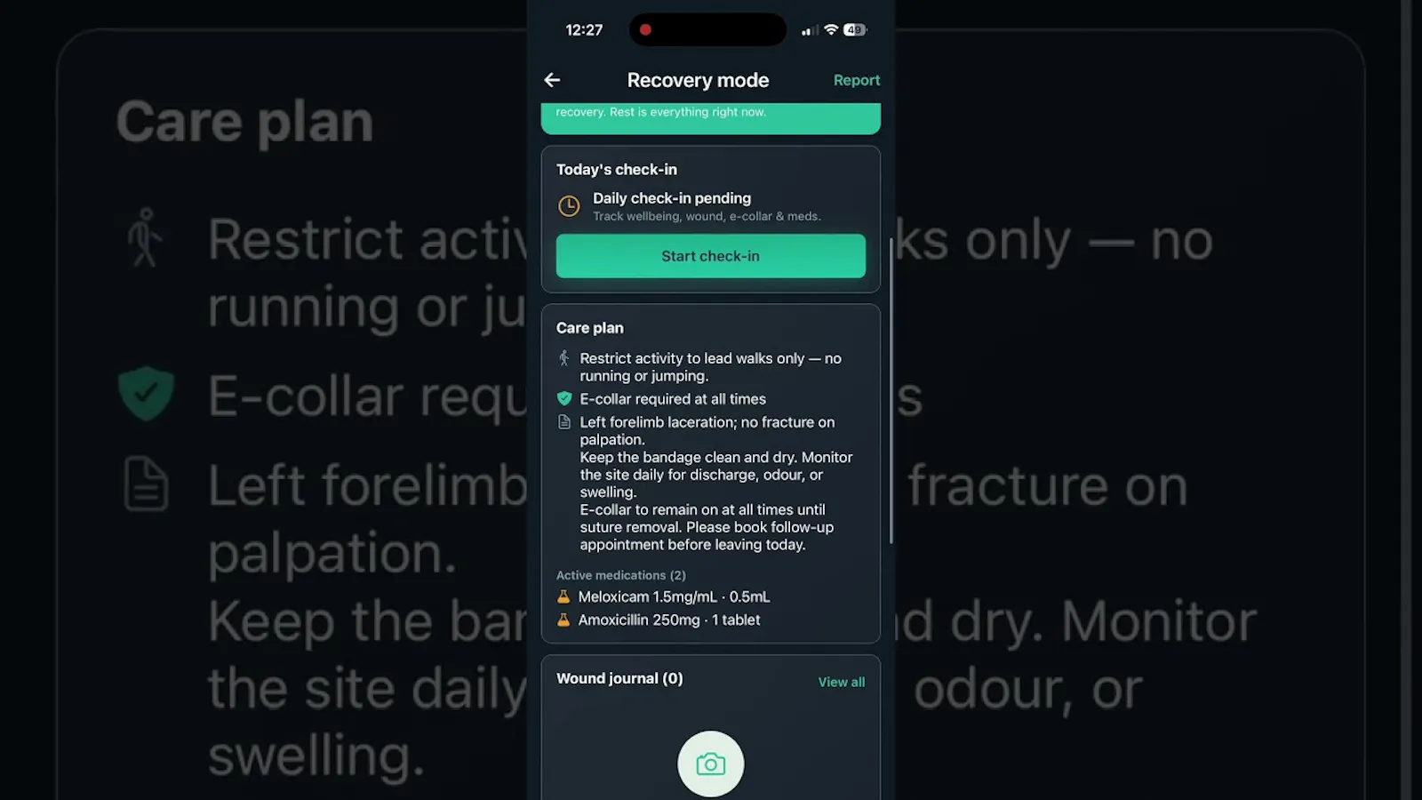 Kinex-pet screenshot 1 (video preview)