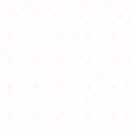 WeCovr - Insurance For Your Audiences