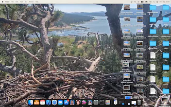Real Live Wallpaper gallery image