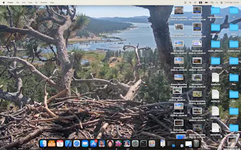 Real Live Wallpaper gallery image