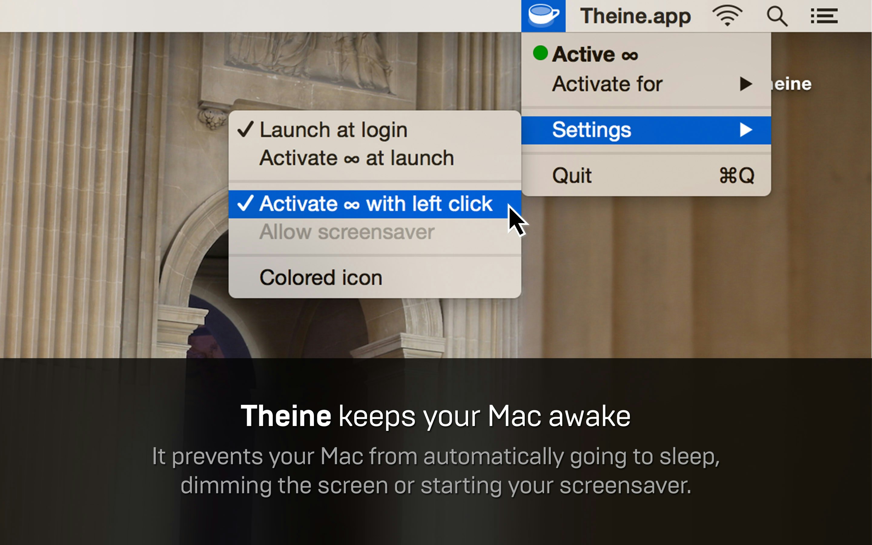 Theine gallery image