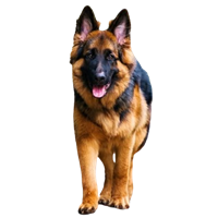 Premium Pet House gallery image