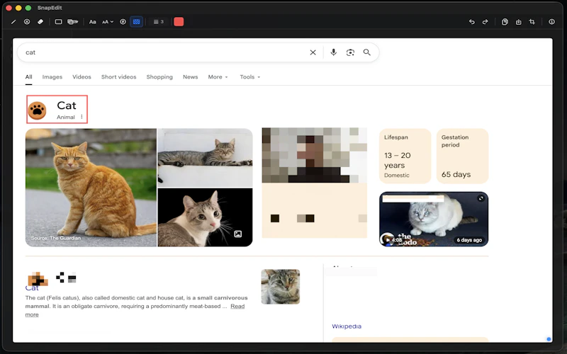 SnapEdit screenshot 3