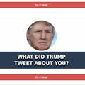 What did Donald Trump Tweet about you?