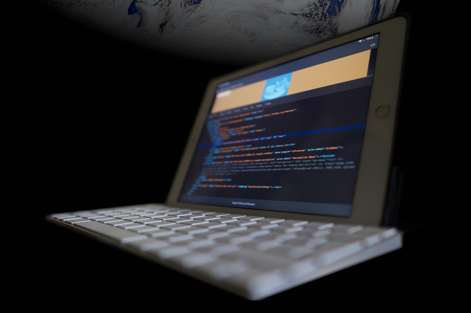 Mr Bug gallery image