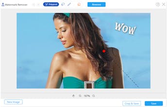 AnyMP4 Free Watermark Remover Online gallery image