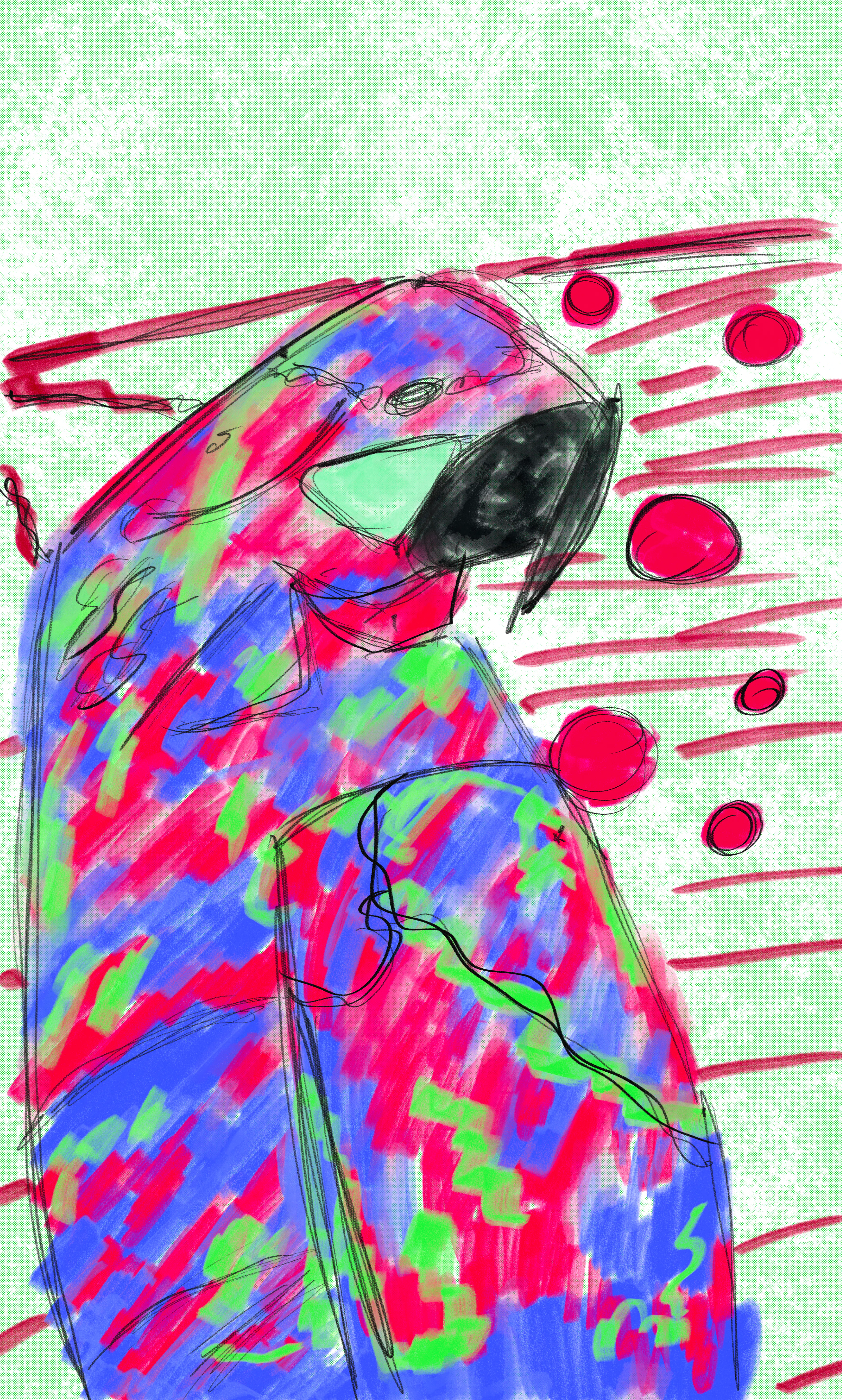PAE Bird gallery image