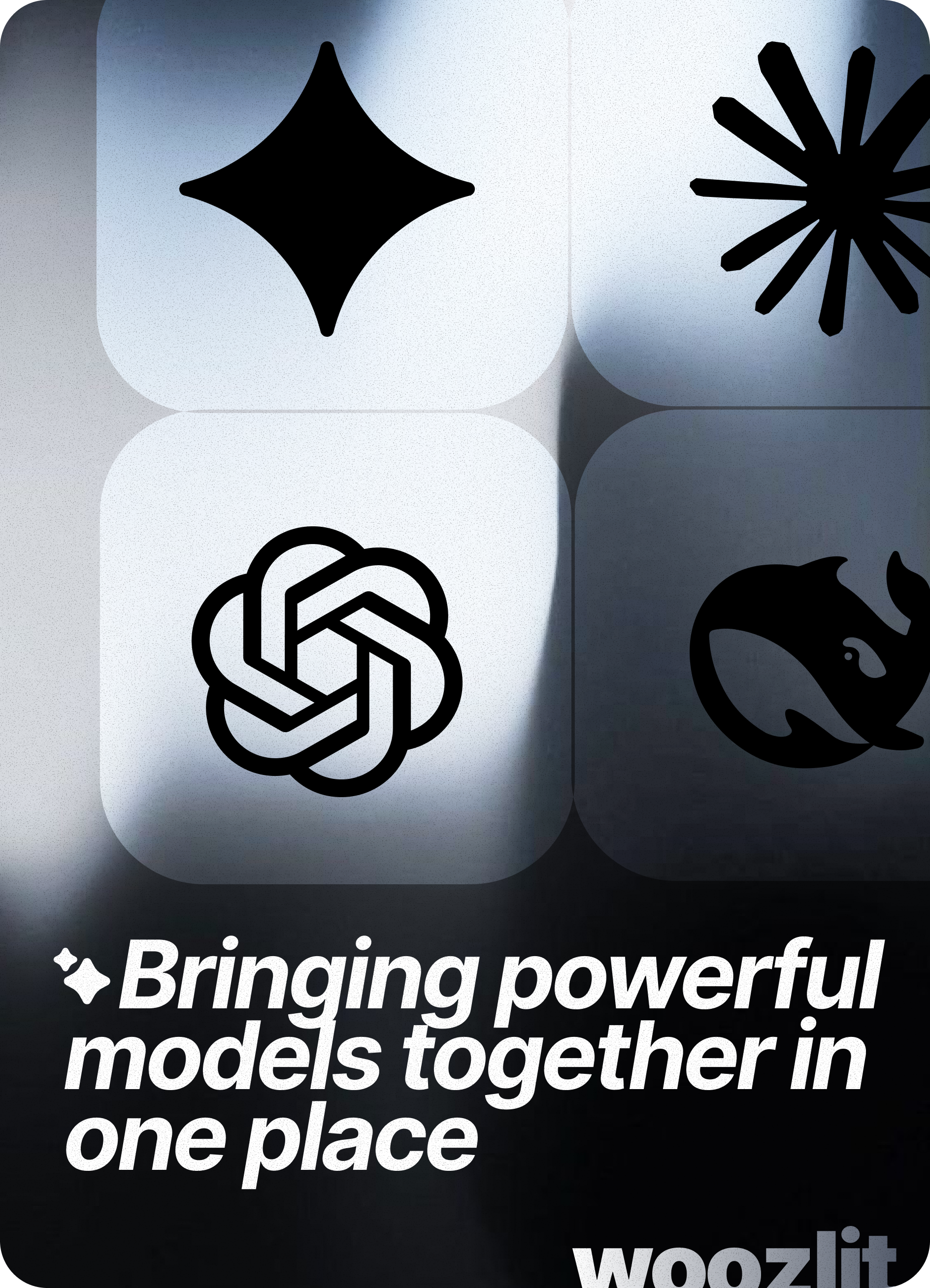 Woozlit gallery image