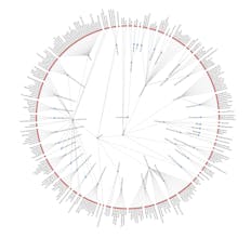 schema-org-java gallery image